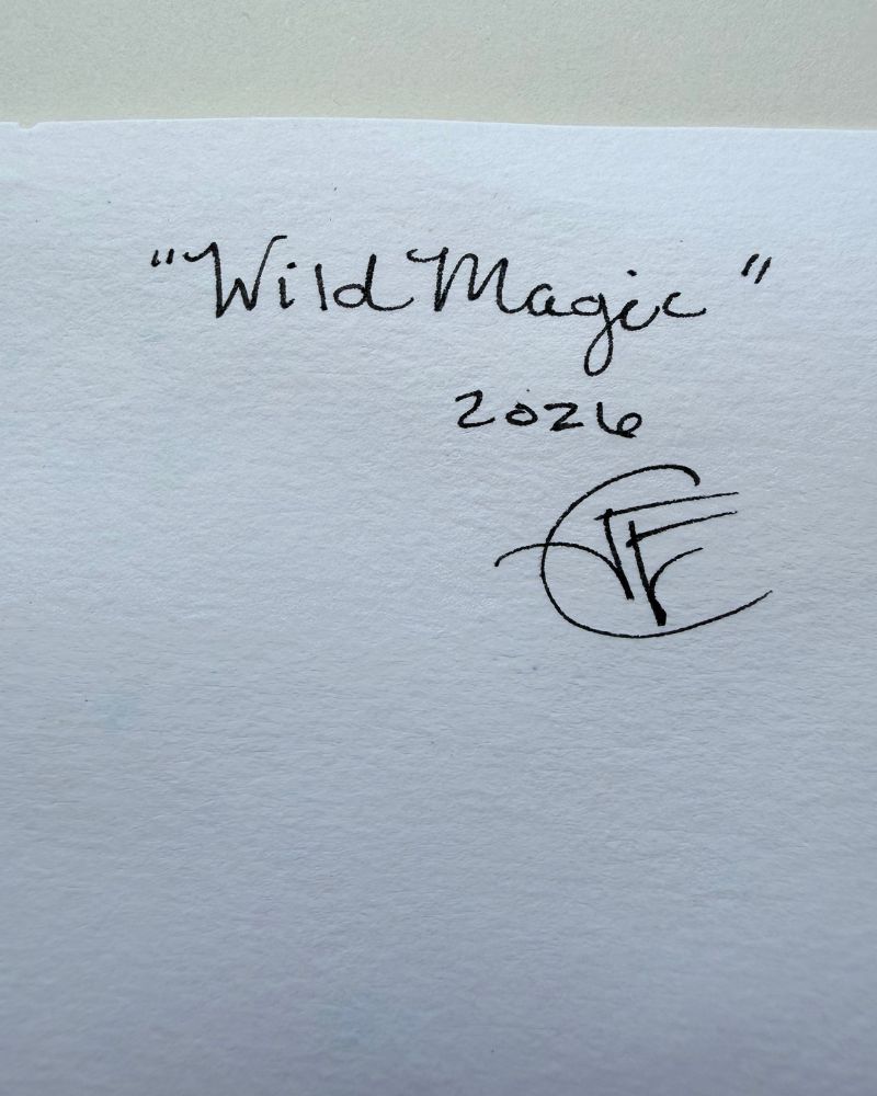 Wild Magic